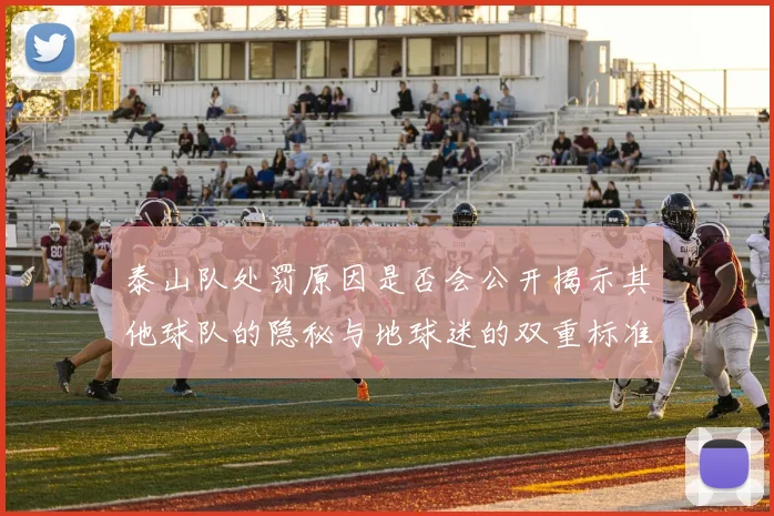 泰山队处罚原因是否会公开揭示其他球队的隐秘与地球迷的双重标准